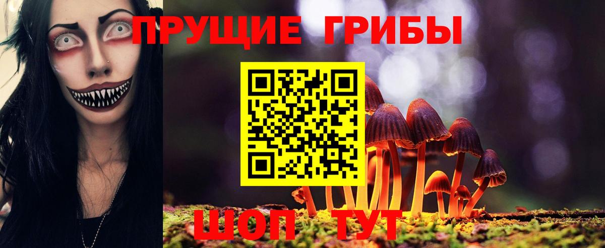 Галлюциногенные грибы ЛСД  Вход с VPN  Братск  Галлюциногенные грибы MAGIC MUSHROOMS 